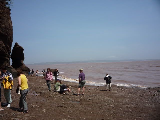 Bay of Fundy - Hopewell Rocks