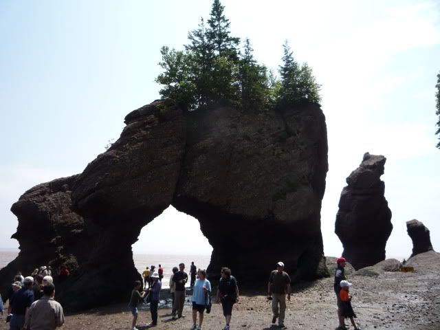 Bay of Fundy - Hopewell Rocks