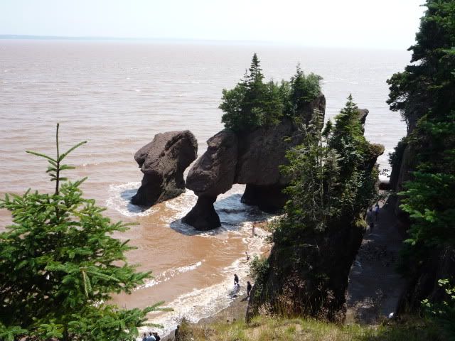Bay of Fundy - Hopewell Rocks