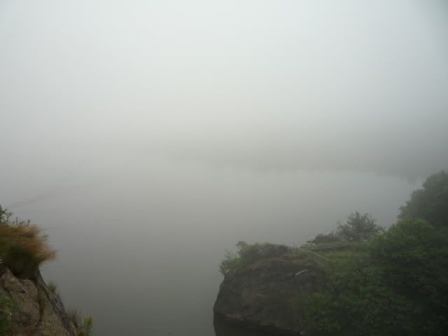Reversing Falls