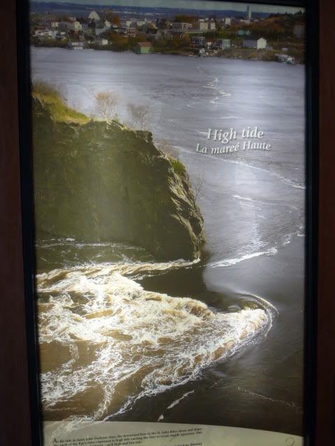 Reversing Falls
