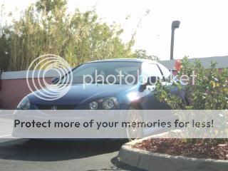 Fs Ft For Sale Or Trade Fl Test Waters 2004 Acura Rsx Type S A Spec Nasioc