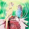 andune_85-anin (19).png