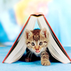 stock-by-andune_85 (7).png