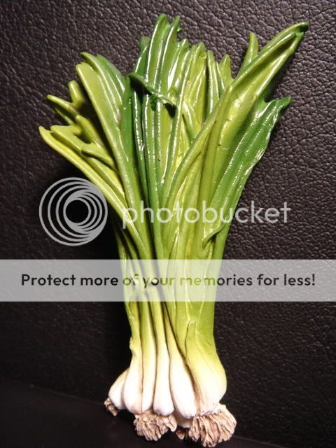 Spring Onion Vegetable refrigerator Fridge Car Magnet  