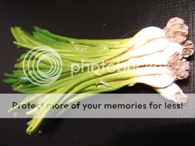 Spring Onion Vegetable refrigerator Fridge Car Magnet  