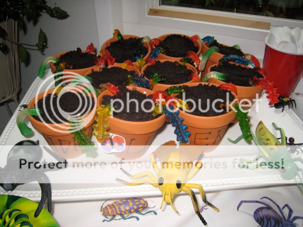 IMG_1783.jpg picture by anneucsb