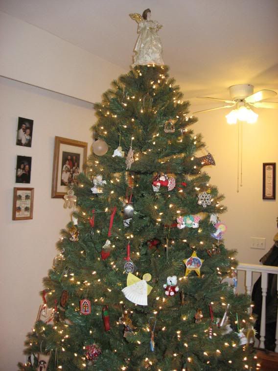 Our Tree