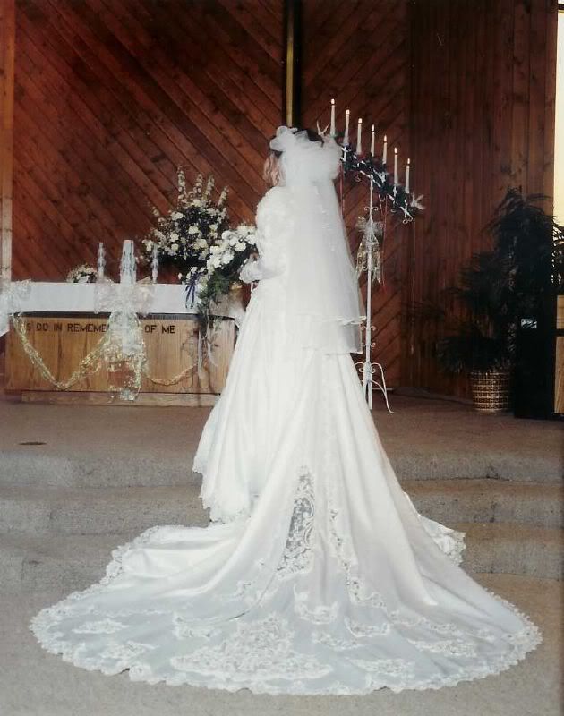 Wedding Dress and Train